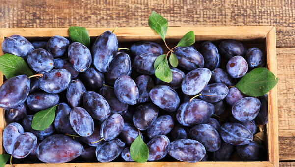 AIP supplies modular all-wheel drive roller test bench for BMW aeroacoustic wind tunnel