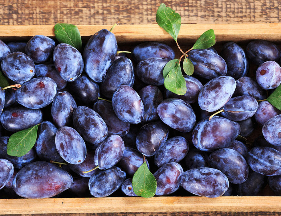 Service in pole position.