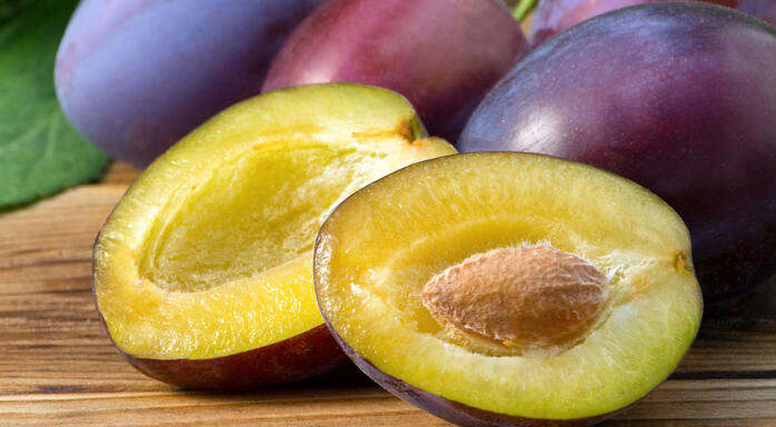 Lorem ipsum dolor sit amet