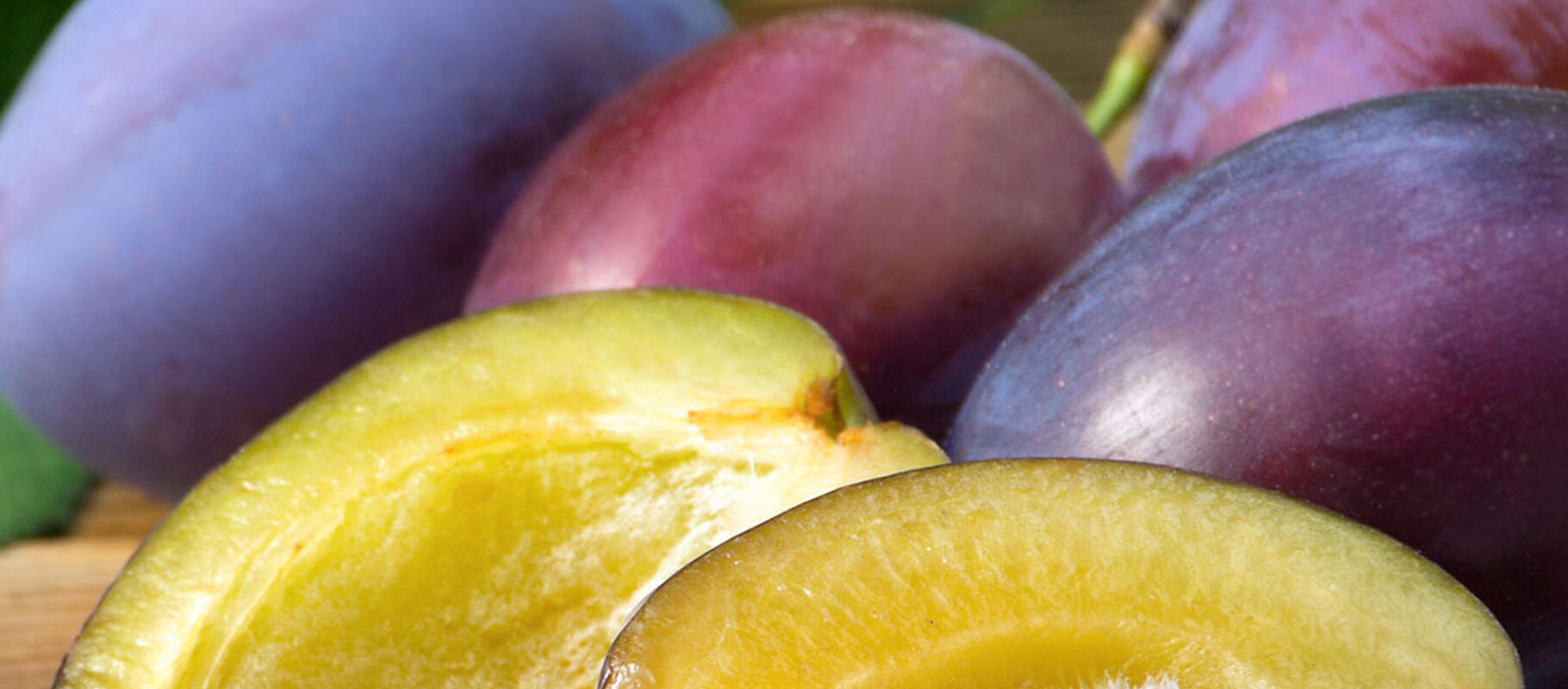 Lorem ipsum dolor sit amet