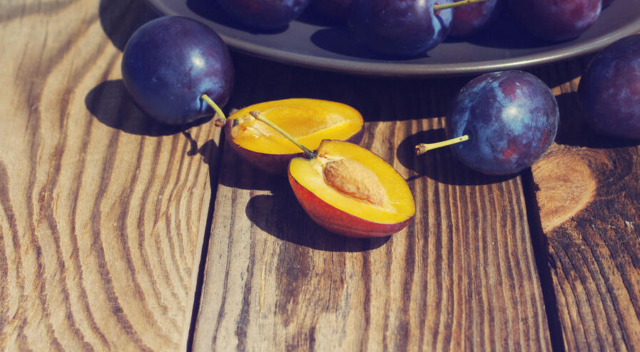 Vielseitig & leistungsstark – für moderne Nutzfahrzeuge